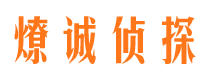 光泽调查公司